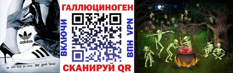 дарнет шоп  МЕГА вход  Псилоцибиновые грибы Psilocybe  Кимры 